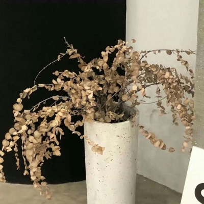 Furry绘画质感灵感兽圈群